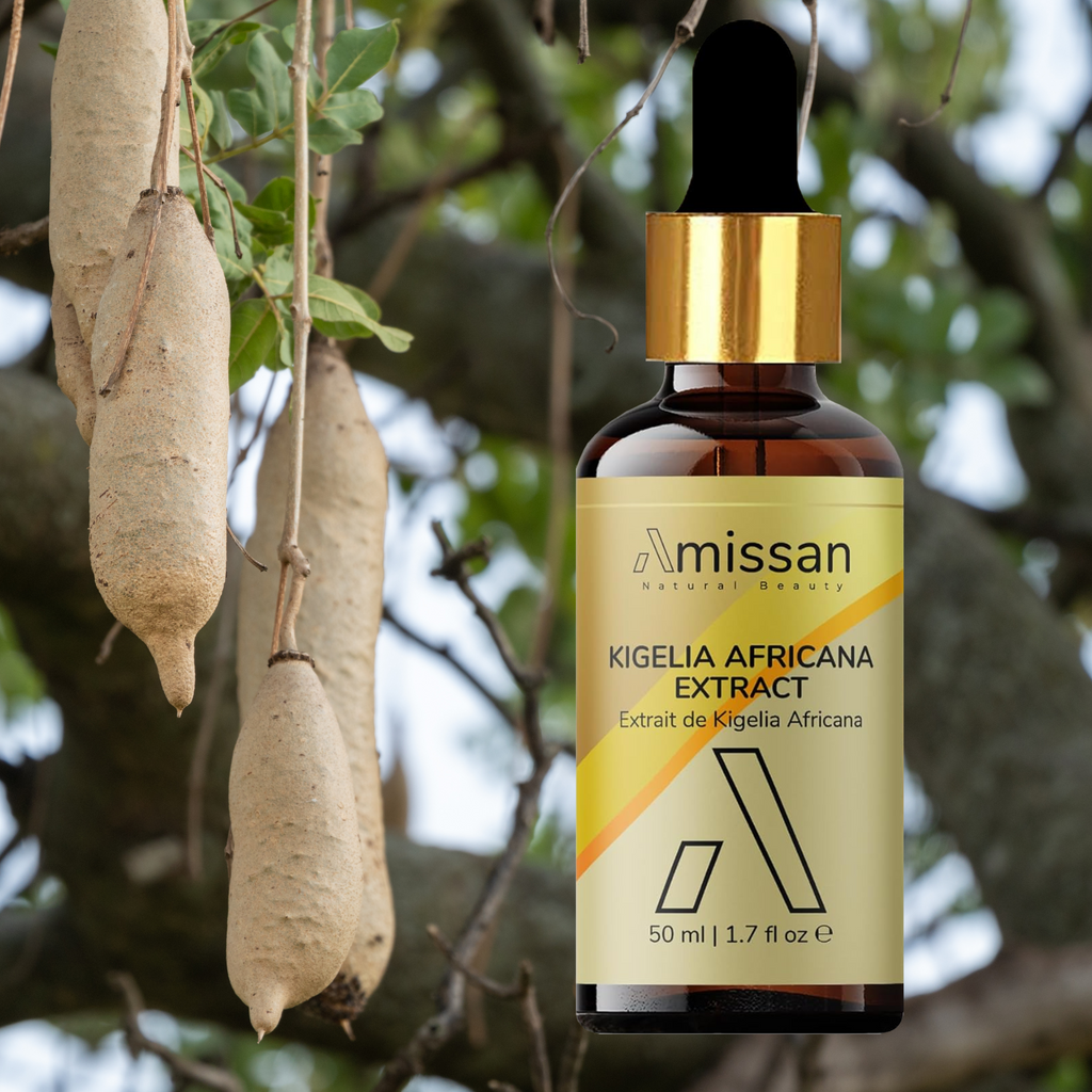 Kigelia Africana Extract (sausage tree | Balam Kheera) - Skin Firming & Anti-Aging